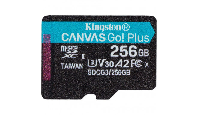 Kingston Technology 256GB microSDXC Canvas Go Plus 170R A2 U3 V30 Single Pack w/o ADP