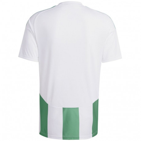 Adidas meeste särk Striped 24 Jersey IW2148 XL, valge-roheline