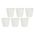 Set of 6 Aperegina Mugs - White, 75 ml