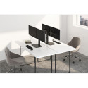 Neomounts monitor desk mount