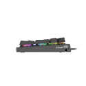 GAMING KEYBOARD GENESIS THOR 300 RGB ES MECHANICAL BACKLIGHT RED SWITCH SOFTWARE