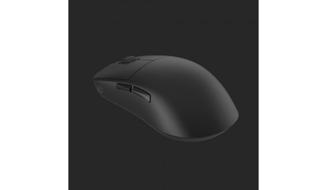Endgame Gear OP1we mouse Gaming Right-hand USB Type-A Optical 19000 DPI
