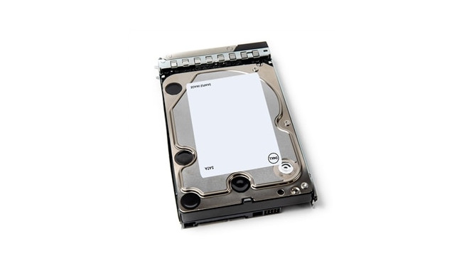 Dell HDD 7200 RPM, 12 TB, Hot-swap, Advanced format 512e; 6 Gb/s