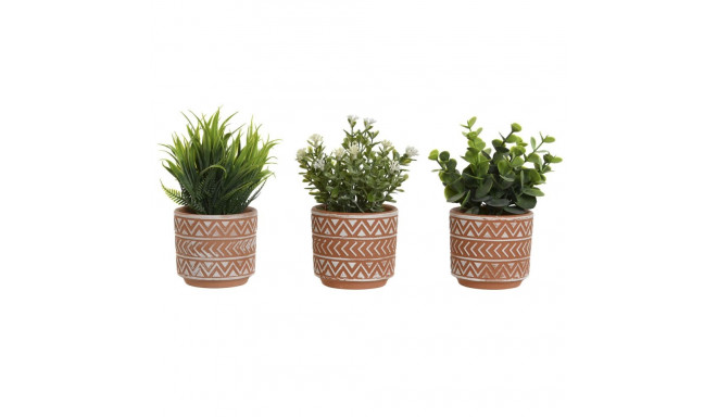 Dekoratiivne Taim Home ESPRIT Polüetüleen Tsement 12 x 12 x 17 cm (3 Ühikut)