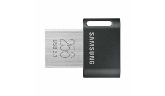 USB stick Samsung MUF-256AB/APC Silver 256 GB