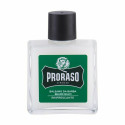 Бальзам для бороды Proraso Green Tea