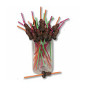 Reusable Straws Divertysex Penis 30 Units