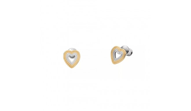 Ladies' Earrings Skagen SKJ1677998