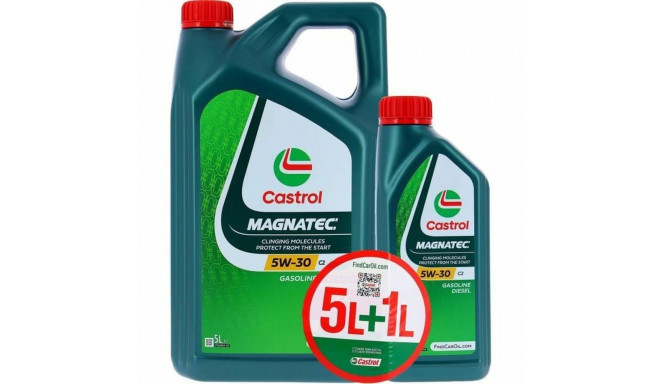 Auto mootoriõli Castrol Magnatec 6 L