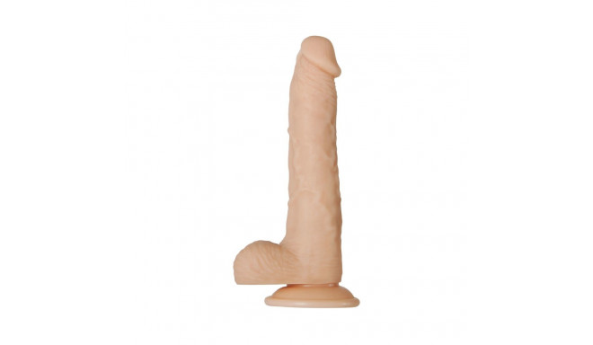 Realistic Dildo Adam & Eve Silicone Ø 4,3 cm