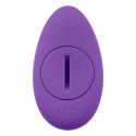 Bullet Vibrator Playboy Purple