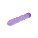 Bullet Vibrator Evolved Purple