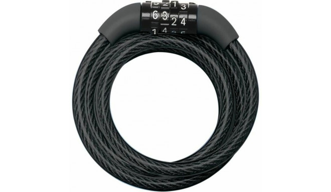 Chain with Padlock Master Lock