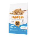 Cat food IAMS Advanced Nutrition Fish 10 kg