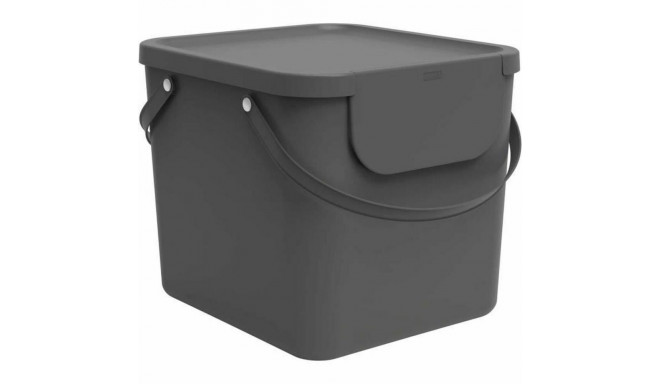 Cat Feeder Rotho Anthracite Plastic