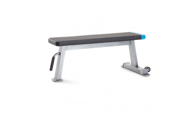 Proform Carbon Strength PFBE09620 Recumbent Bench