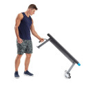 Proform Carbon Strength PFBE09620 horizontal bench