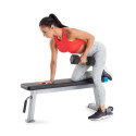 Proform Carbon Strength PFBE09620 horizontal bench