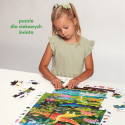 Observation Puzzle - Dinosaurs