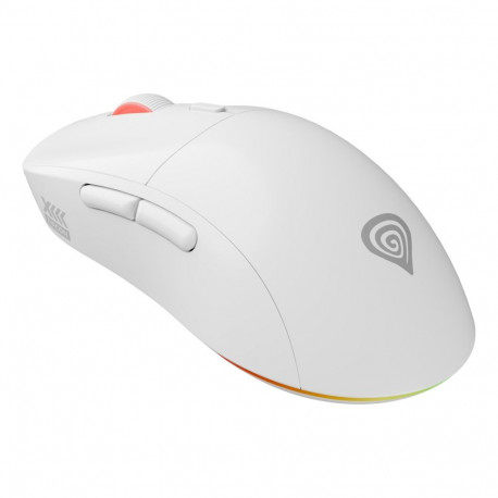GENESIS Zircon XIII white
