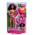Barbie Doll and Accessories