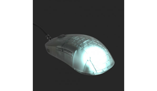 Endgame Gear OP1 RGB mängurihiir paremakäeline USB Type-A optiline 26000 DPI