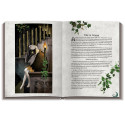 US Games Systems Deviant Moon Tarot Book