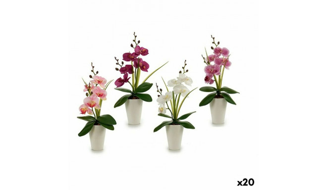 Dekoratiivlill Ibergarden A18124-33-WH A18124-33-WH Orhidee 14 x 35 x 8 cm (12 Ühikut)