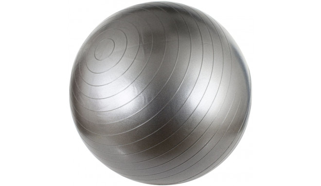 Gym Ball AVENTO 42OA 55cm Silver