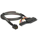 DeLOCK 84819 interface cards/adapter Internal U.2, SATA