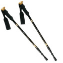 Nils NW-TK19 trekking poles