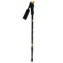 Nils NW-TK19 trekking poles