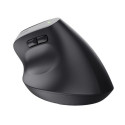 Trust Bayo+ mouse Office Right-hand RF Wireless + Bluetooth Optical 2400 DPI