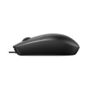 Rapoo N100-BK mouse Ambidextrous Office USB Type-A Optical 1600 DPI