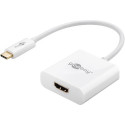 Goobay 66259 USB graphics adapter White