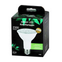 Airam PAR30 LED bulb White 5300 K 9.5 W E27 F