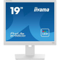 iiyama ProLite B1980D-W5 computer monitor 48.3 cm (19&quot;) 1280 x 1024 pixels SXGA LCD White