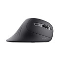 Trust Verro mouse Office Right-hand RF Wireless Optical 1600 DPI