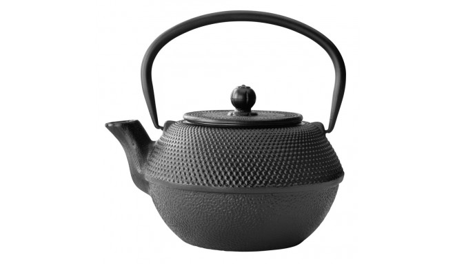 Bredemeijer Teapot Jang 1,1l cast iron black + Filter G002Z