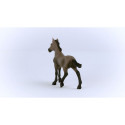 Schleich Horse Club Peruvian Paso Foal 13954