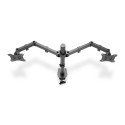 DIGITUS 2-fold Monitor Mount with Clamp 15-32