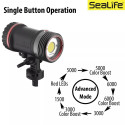 Sealife Sea Dragon 5000+ with Color Boost Light Head (SL680-1)