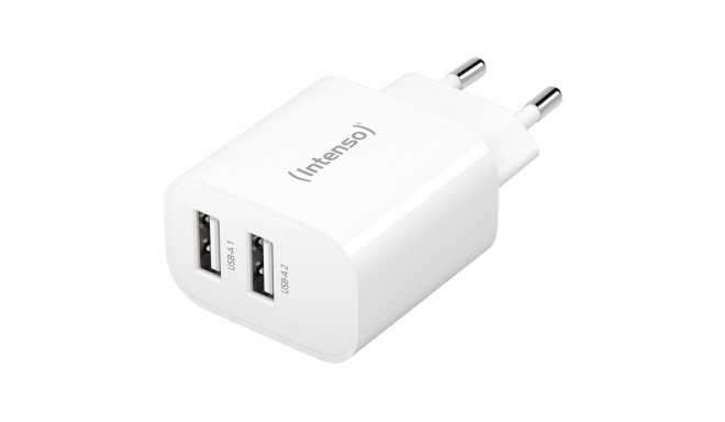 Intenso toiteadapter W24AA 2x USB-A 24W valge