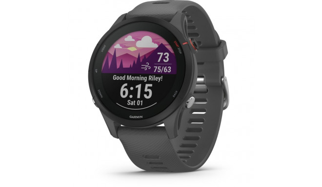 Garmin Forerunner 255 schist/black