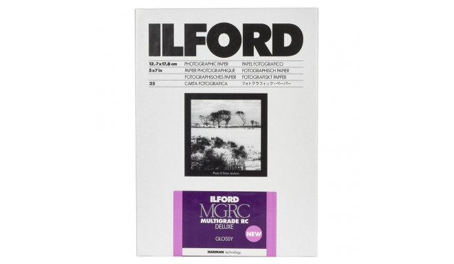 1x 25 Ilford MG RC DL  1M  13x18