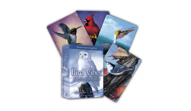 Meditation Cards Bird Vibes Beyond Woords