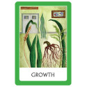 Oracle Cards Chakra Wisdom Watkins Publishing