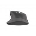 Natec wireless mouse Falcon
