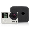 GoPro AFRAS-301