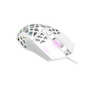 Canyon GM-20 mouse Gaming USB Type-A Optical 12000 DPI